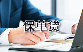 铜陵保单贷